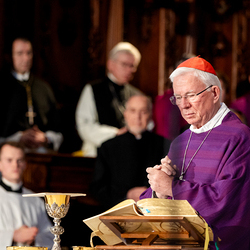 Stephansdom: Österreich nahm Abschied von Papst Franziskus